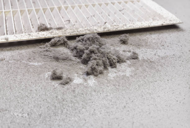 Best Ductwork Cleaning Services  in Cudjoe Key, FL