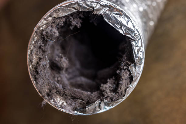 Best Home Air Vent Cleaning  in Cudjoe Key, FL