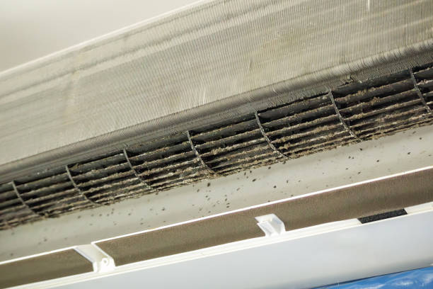 Best Residential Air Duct Cleaning  in Cudjoe Key, FL